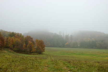 秋雾景观