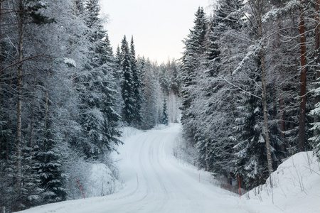 冬季森林和雪路