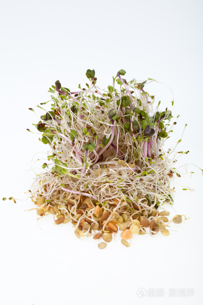 健康的饮食习惯.孤立在白色背景上的新鲜豆芽