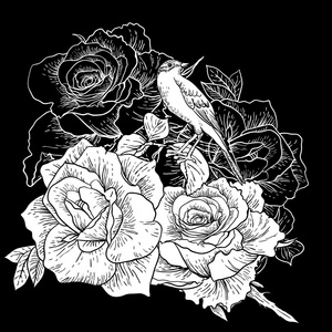 美丽的玫瑰背景与鸟