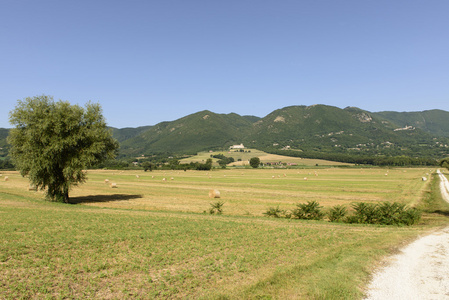 绿色的田野，在神圣的山谷，rieti