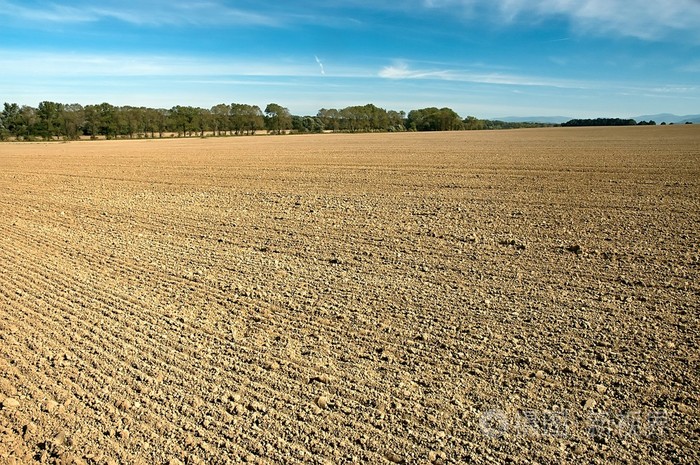 景观的耕地种植
