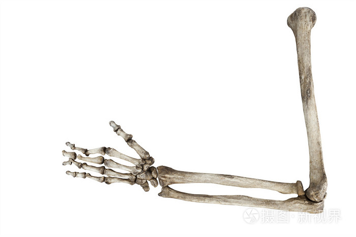 这把老骨头的白色背景上分离出人之手