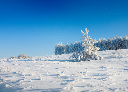 冬季公园在雪中