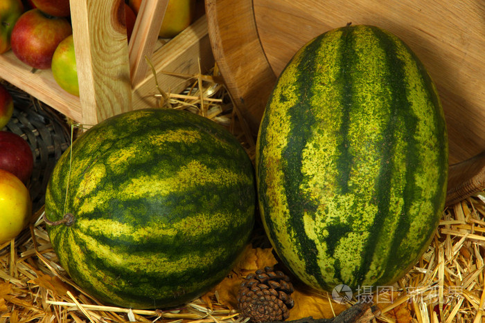 苹果和西瓜和木桶里关闭