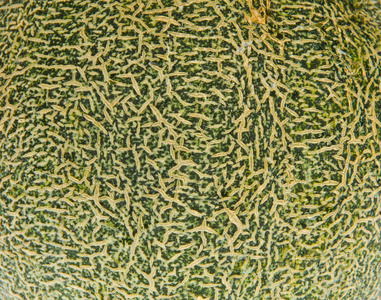 西瓜皮纹理图片