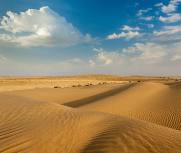 印度塔尔沙漠的沙丘上