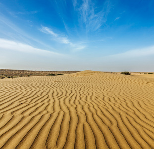 印度 拉贾斯坦邦的塔尔沙漠的沙丘