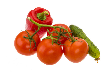 红辣椒 番茄分支和黄瓜