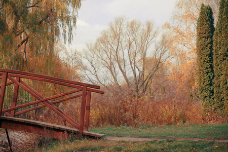 桥区片秋色的公园