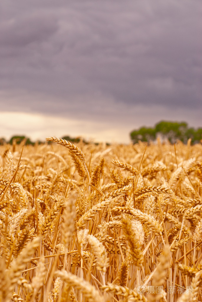 685_1023竖版 竖屏