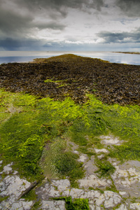 kimmeridge 湾