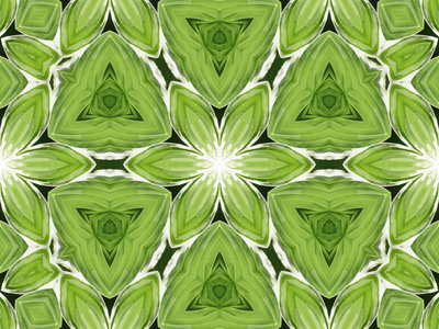 绿色曼陀罗花照片