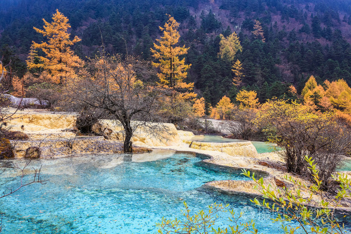 秋天的树林的露天钙华彩池