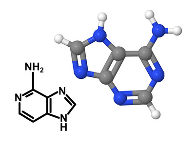 维生素 b4 分子与化学公式