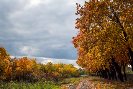 乡村景观与秋天的彩色树木