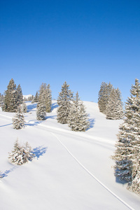 在阿尔卑斯山滑雪