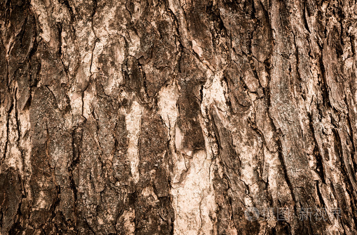 棕色树树皮
