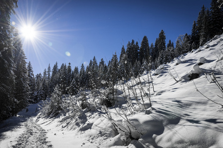 冬季景观与步骤雪太阳在蔚蓝的天空中