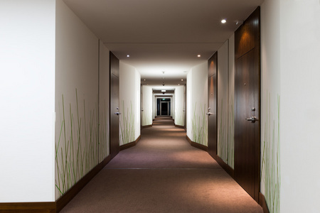 龙酒店走廊门与绿草壁纸