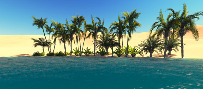 沙漠中的绿洲图片