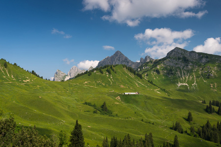 在漂亮的绿山高山小屋