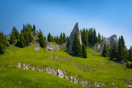 巨大的岩石，在绿色的高山草甸