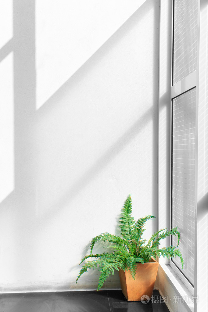 射线和室内的白墙上的光影