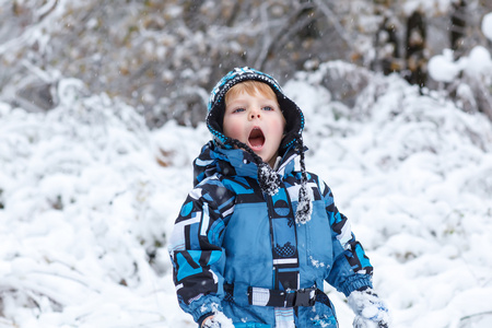 可爱的小孩男孩在冬季一天玩雪