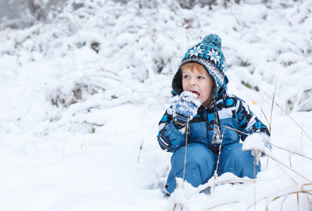 可爱的小孩男孩在冬季一天玩雪