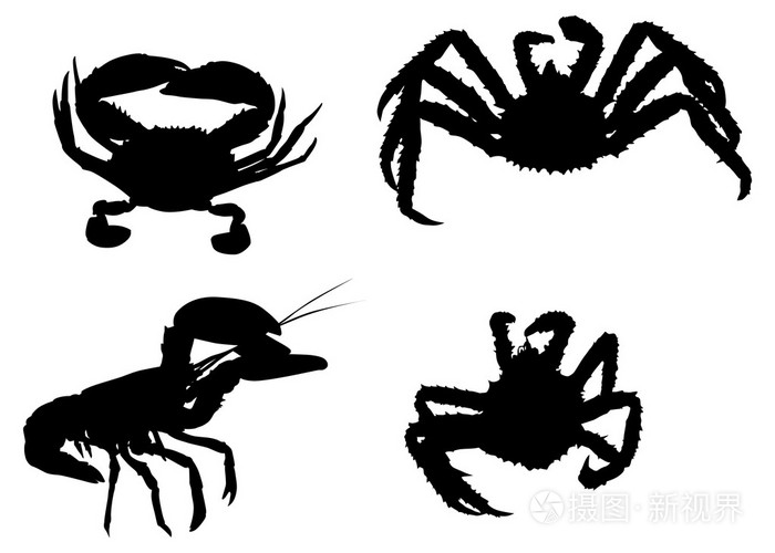孤立的白色衬底上的螃蟹剪影一套