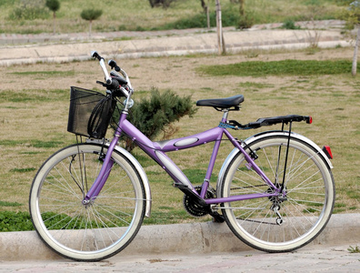 自行车篮里。紫色的颜色