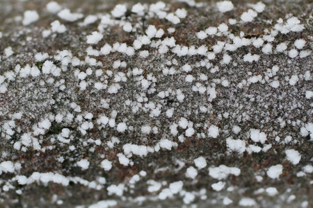 在黑色地面上的白色雪花