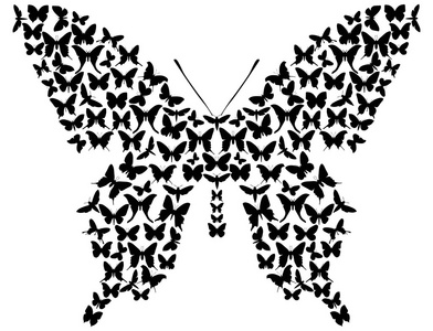 黑白色衬底上分离的复杂蝴蝶