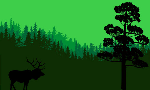 在深绿色的森林中的单个鹿剪影