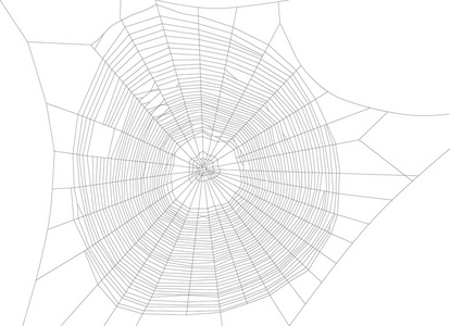 大黑蜘蛛网络图