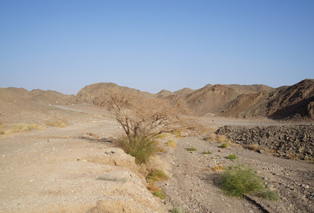 wadi shahamon 附近埃拉特