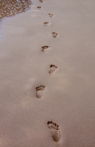 海滩的沙子上的人类脚印