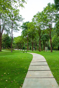 绿草在公园里的走道