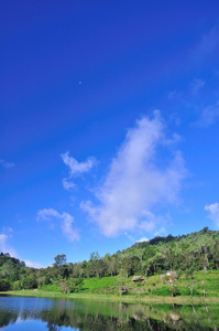 美丽的风景