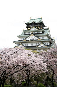 大阪城堡与日本大阪樱花盛开