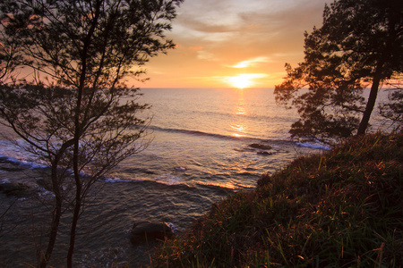 在婆罗洲沙巴，马来西亚的尖端，树木之间的日落