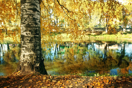 在池塘里公园的秋天