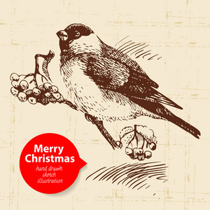 圣诞背景与手工绘制的插图