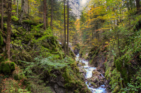 美丽的秋天森林 kessel 瀑布在 brandnertal 谷，莱希，奥地利，hdr 的高山峡谷