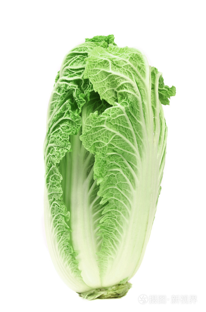新鲜大白菜