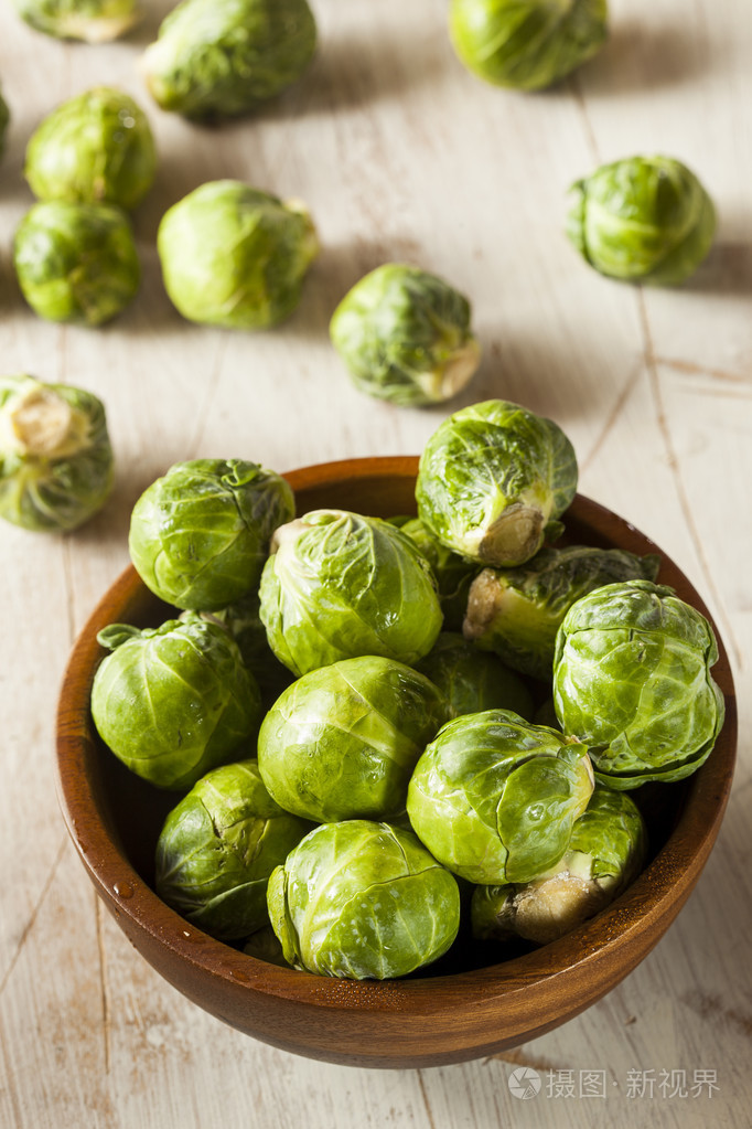 有机绿色甘蓝小包菜