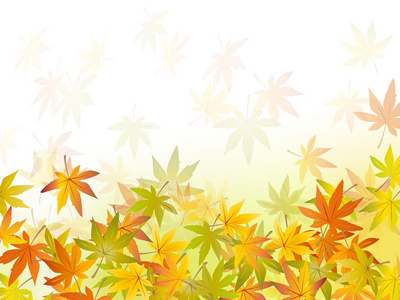 秋天的树叶在地面上