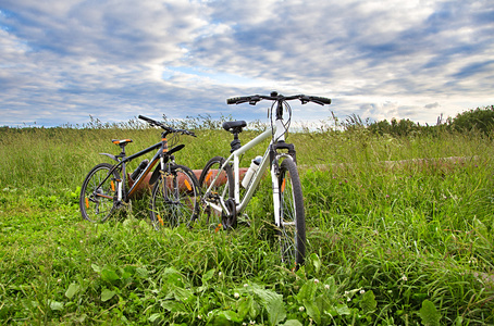 两辆自行车在草地上