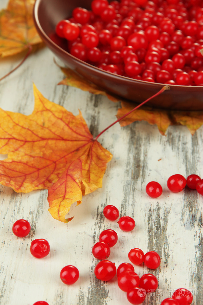 红色浆果的荚蒾在碗和木背景萎黄的树叶